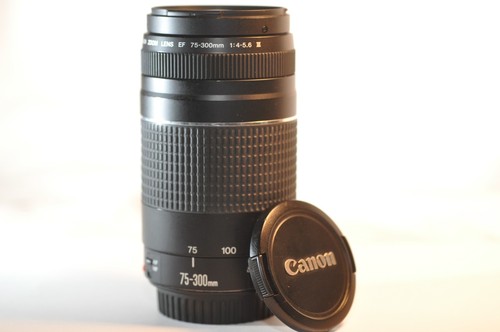 Obiettivo canon 300mm - ef, 75-300mm