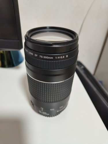 Canon 300mm 5 - f/4-5.6, iii