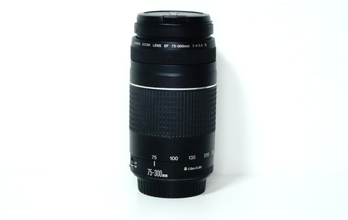 Canon 300mm 5 - canon, 75-300mm