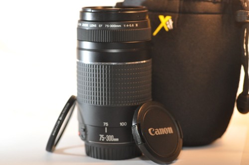 Obiettivo canon 300mm - ef, 75-300mm