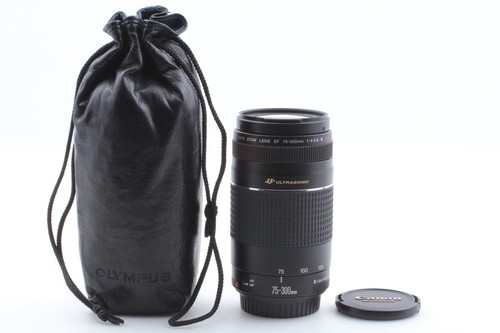 Canon 300mm 5 6 - f/4-5.6, iii
