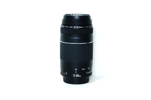 Canon 300mm 5 6 iii - f/4-5.6,