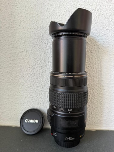 Canon 300 4 5 - ef, is