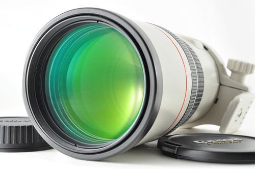 Obiettivo canon 300mm l - canon, ef