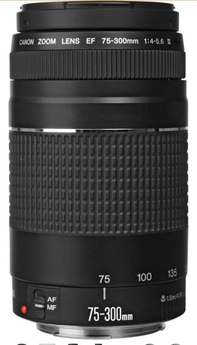 Canon 300mm 5 6 - f/4-5.6, iii