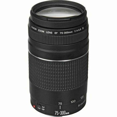 Canon 300mm 5 - canon, ef