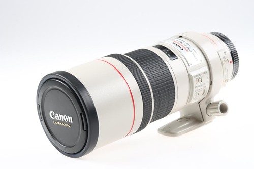 Canon 300 l - canon, usm