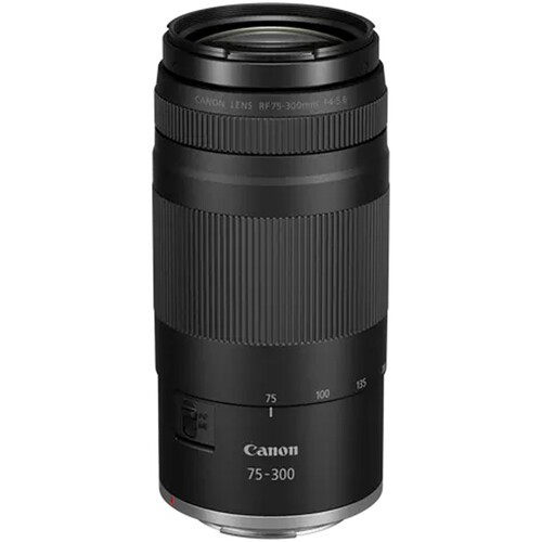 Obiettivo canon 300mm - canon, 75-300mm